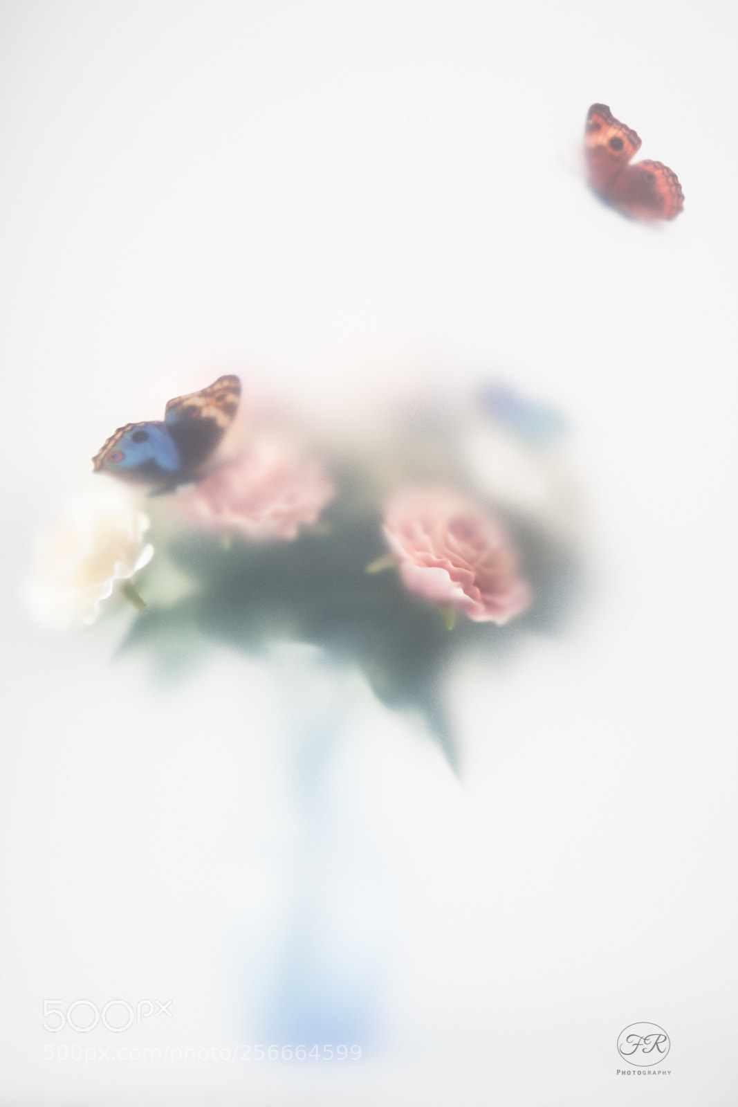 Canon EOS 5D Mark II sample photo. Butterflies photography