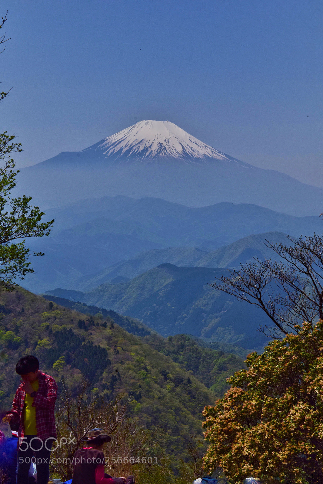 Nikon D5300 sample photo. Mt.fuji photography