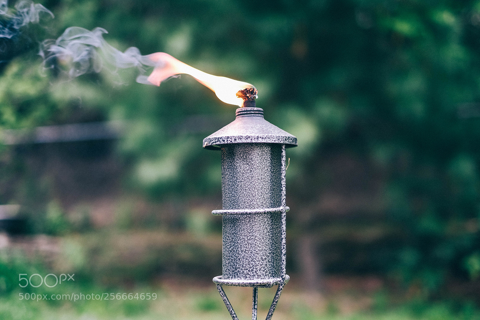 Fujifilm X-T10 sample photo. Tiki torch photography