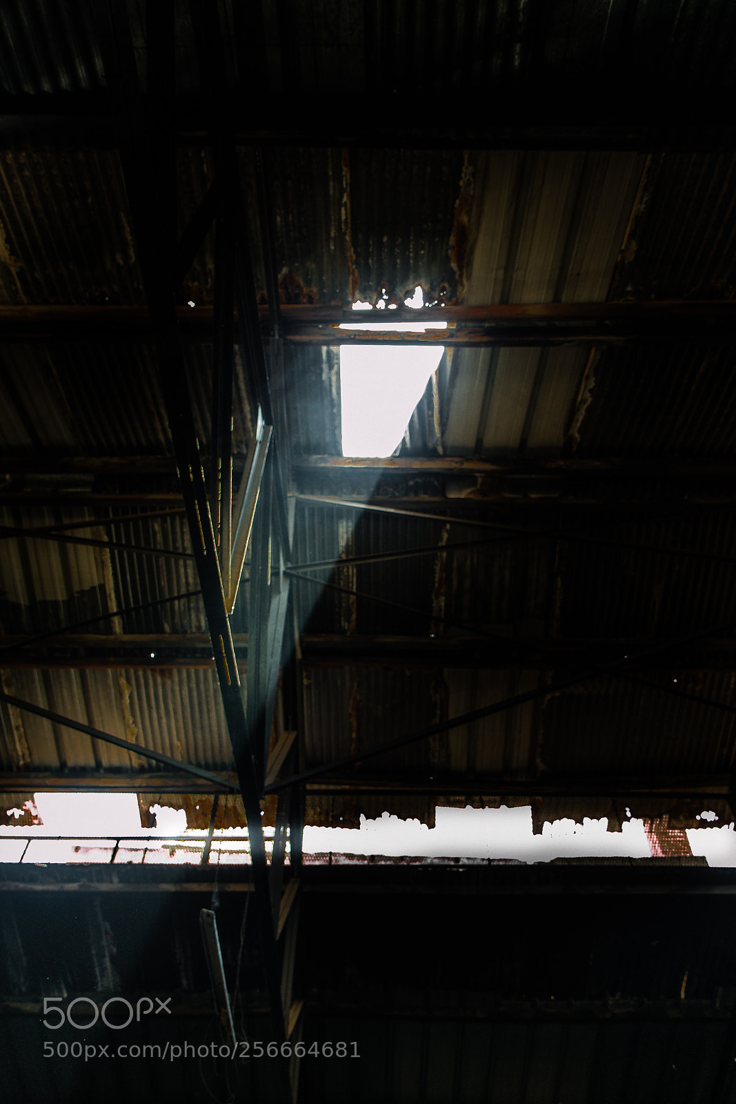 Canon EOS 70D sample photo. Light photography