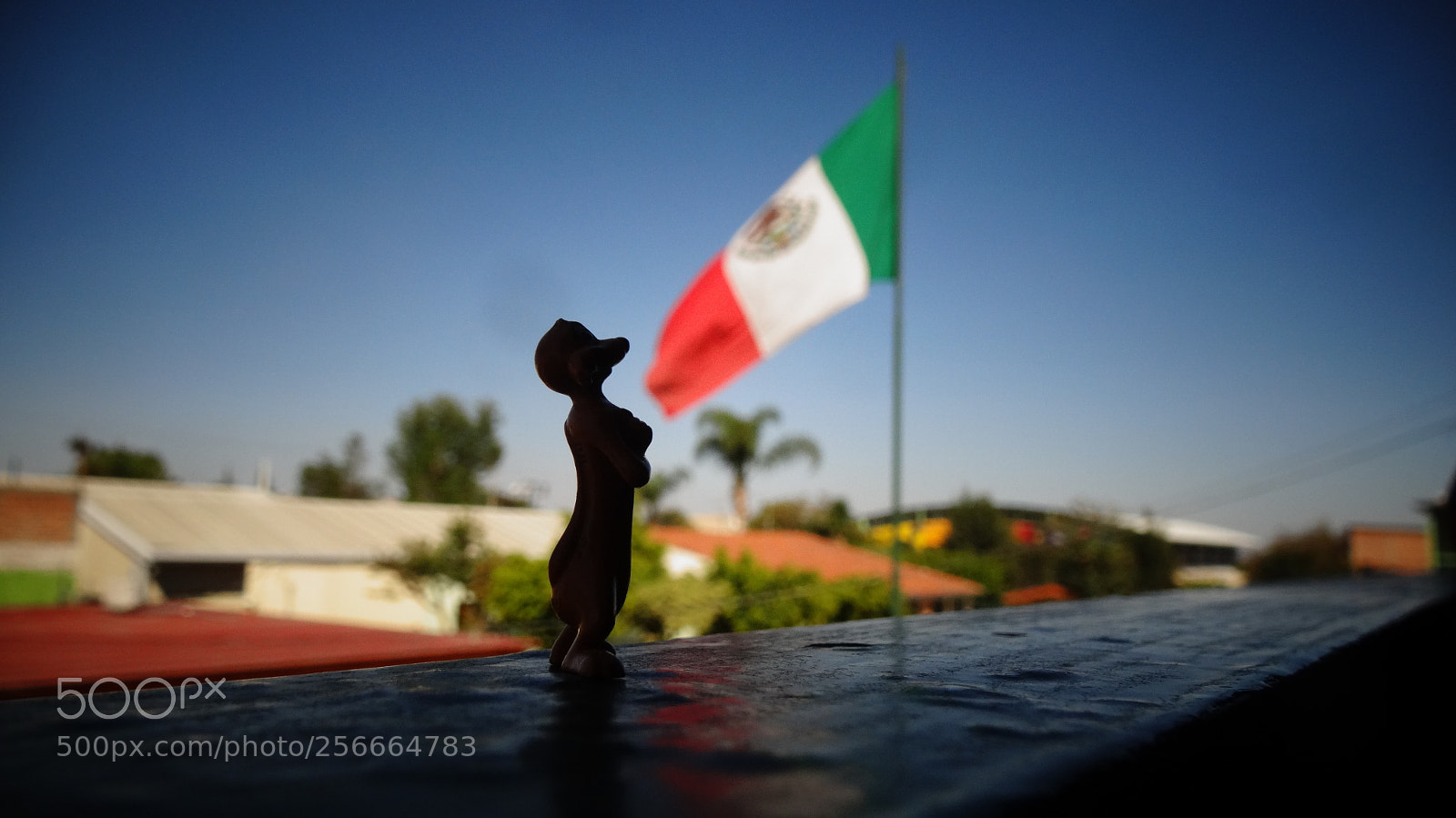 Sony Cyber-shot DSC-HX20V sample photo. Pequeño juguete photography