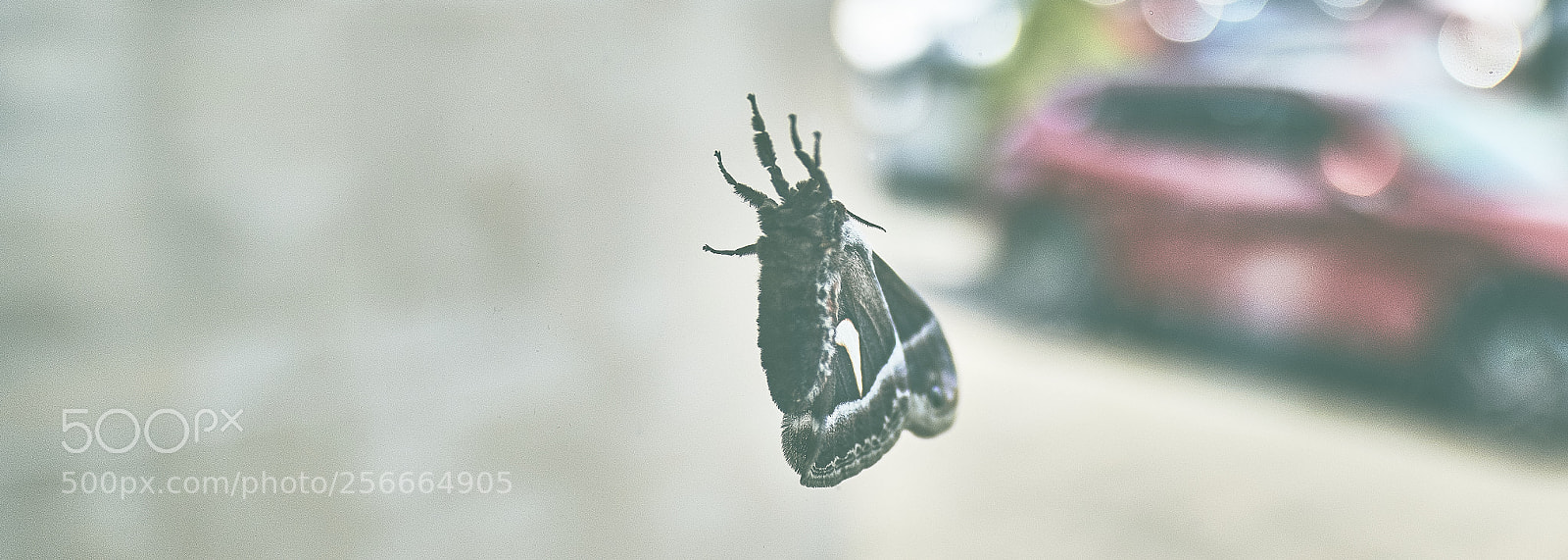 Canon EOS 7D Mark II sample photo. Surprise at work photography