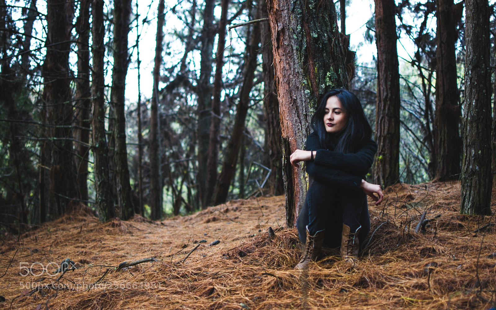 Nikon D5200 sample photo. Somber photography