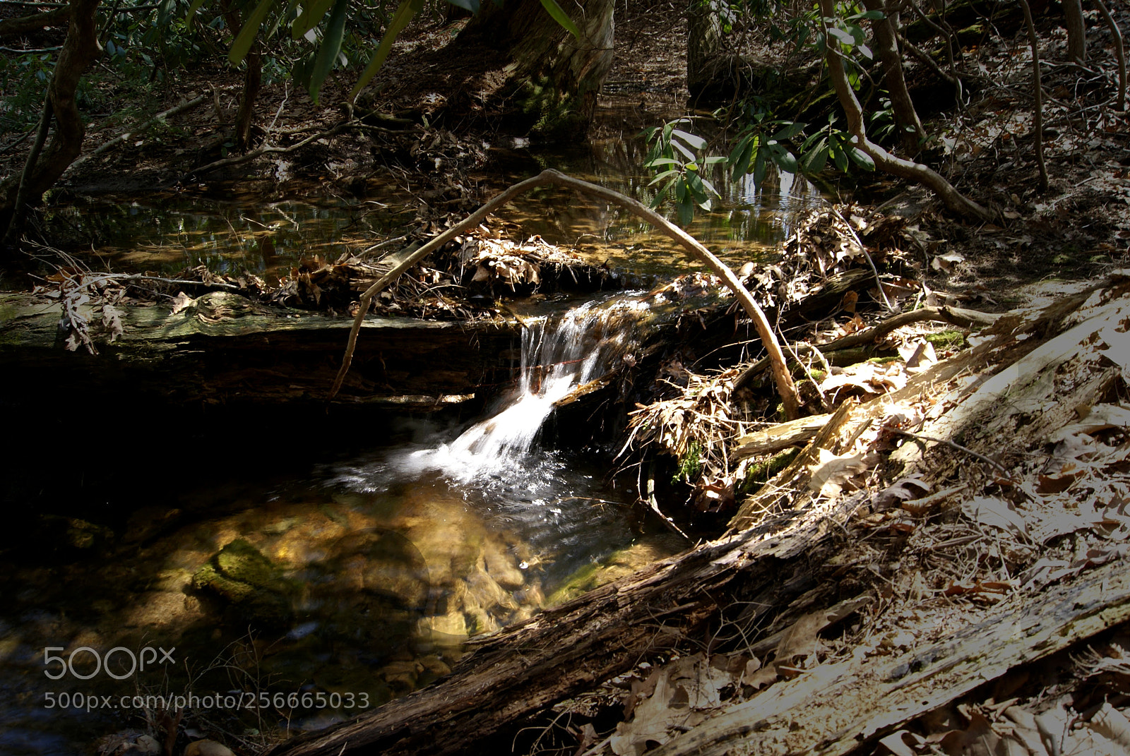 Sony Alpha DSLR-A100 sample photo. Light and dark photography