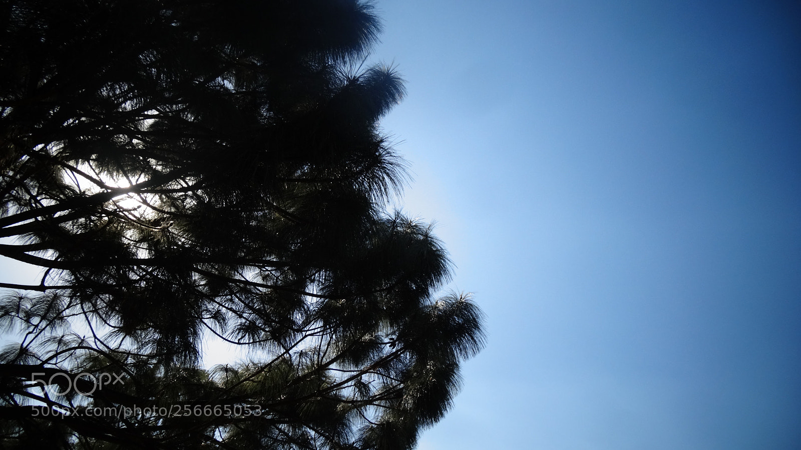 Sony Cyber-shot DSC-HX20V sample photo. Beauty clear sky photography