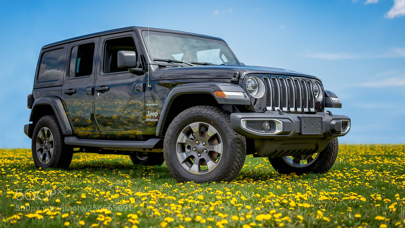 Nikon D610 sample photo. Sahara in bloom photography