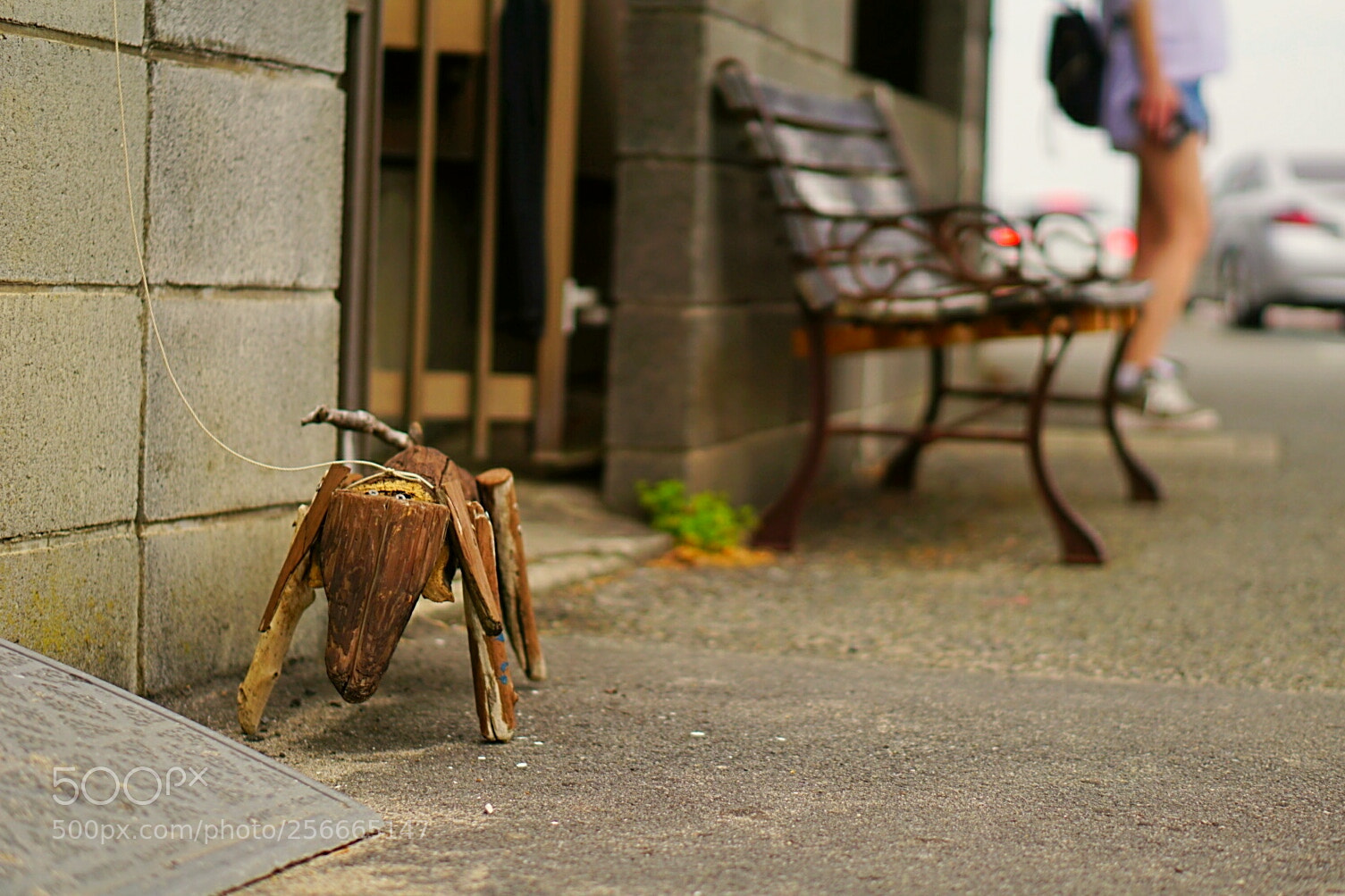 Sony a5100 sample photo. Untitled photography