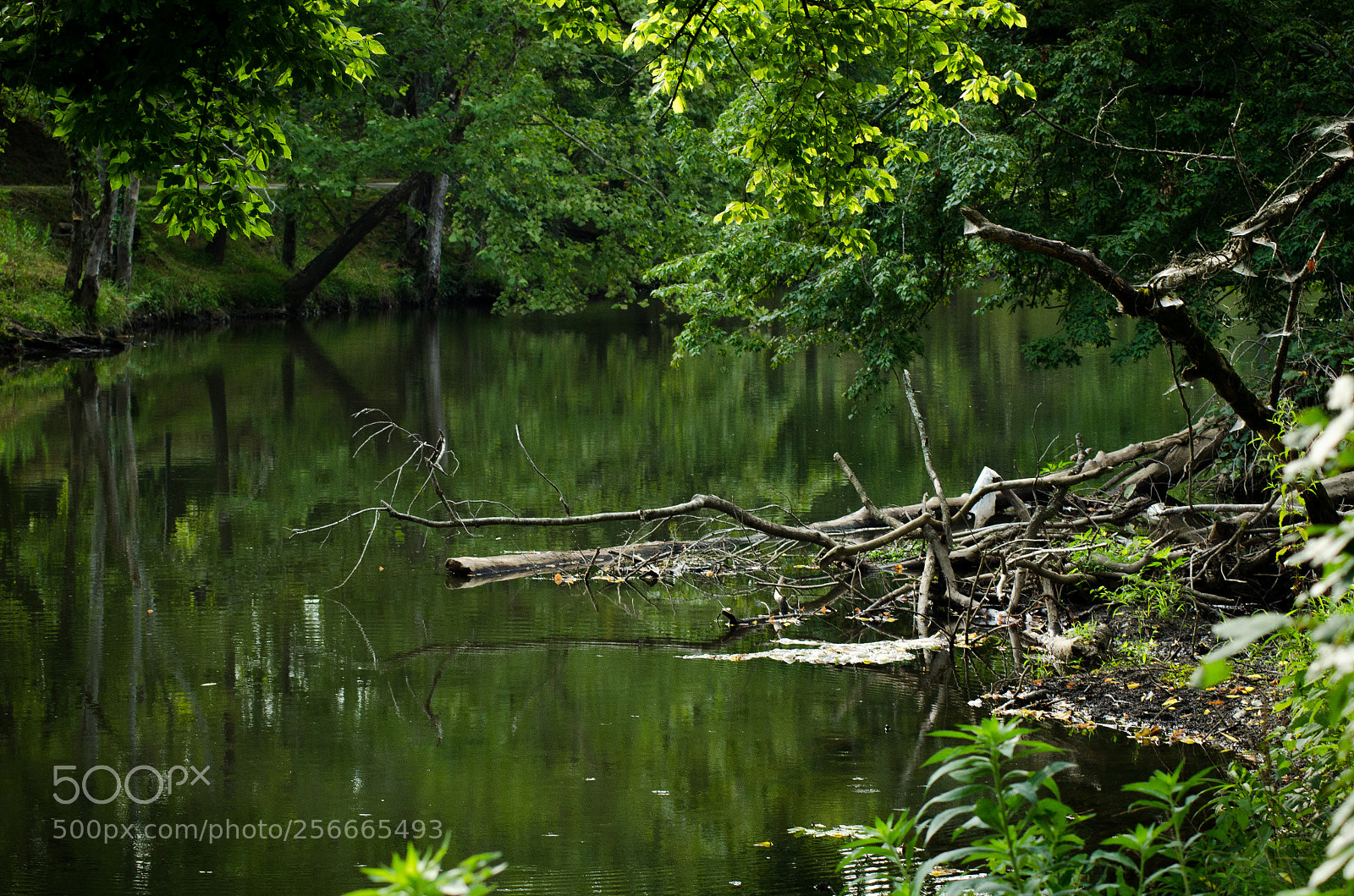 Nikon D7000 sample photo. River photography