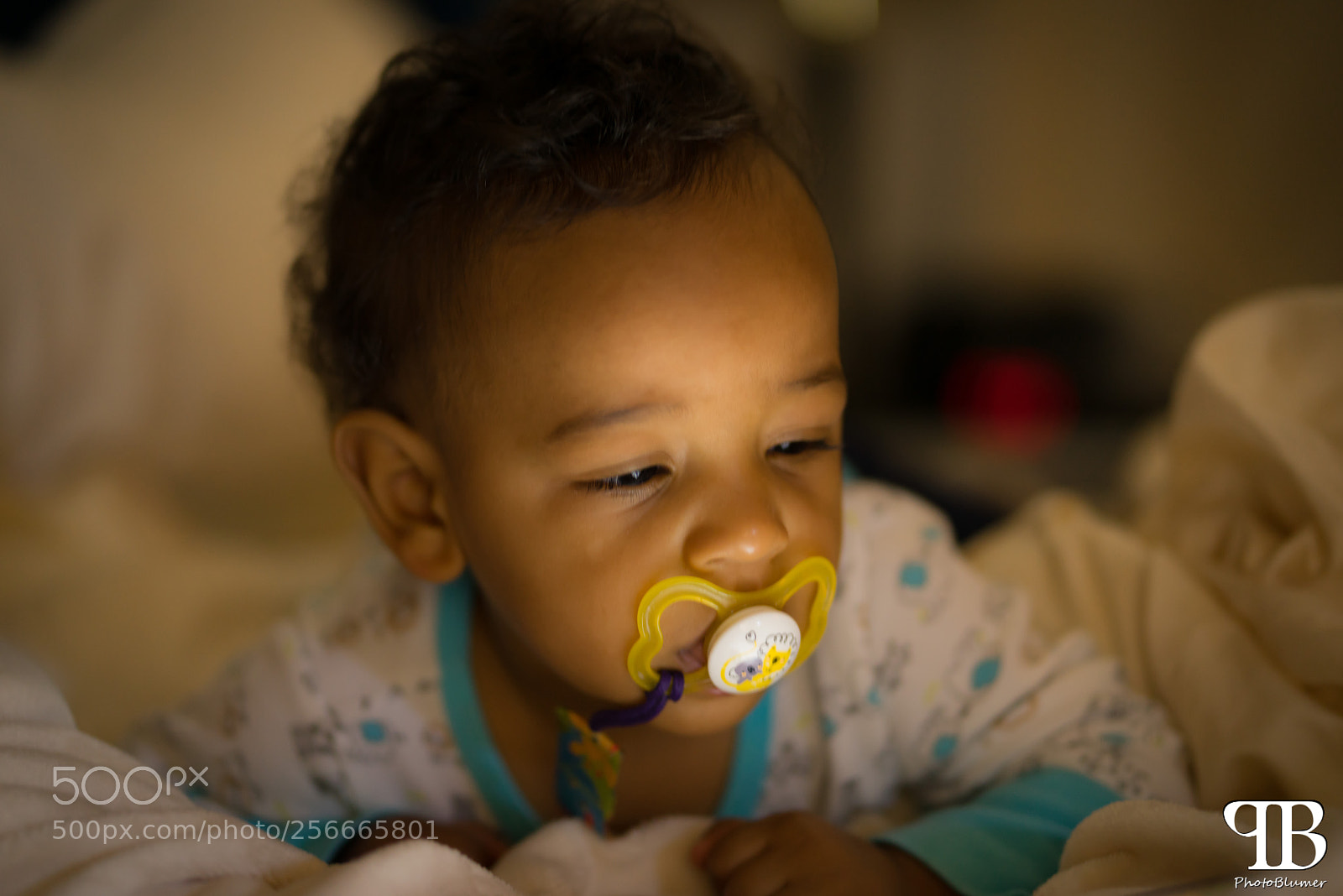 Sony a7R sample photo. What a light! photography