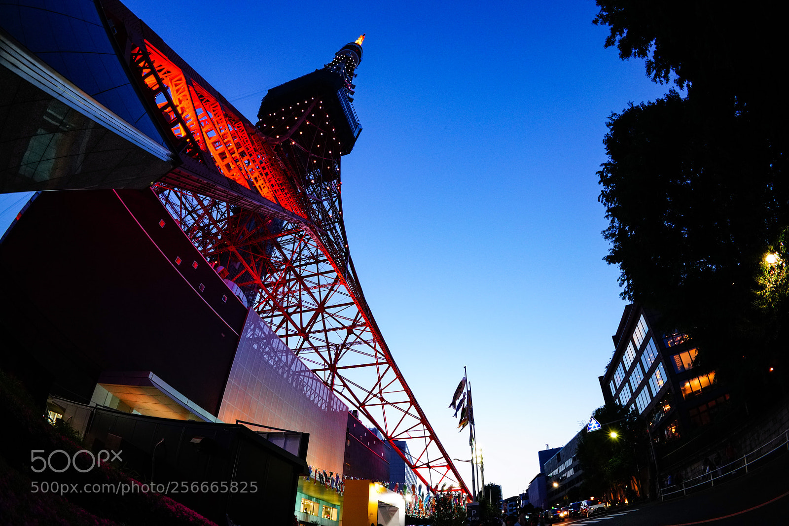 Sony a7R III sample photo. 東京タワー 2018-1 photography