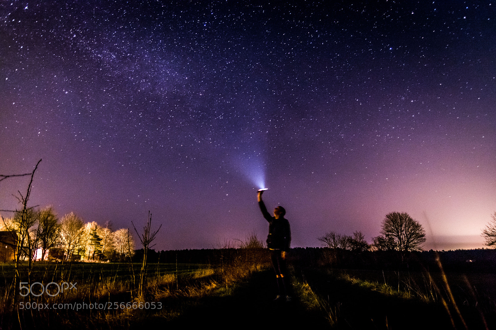 Nikon D7100 sample photo. Pointing at the stars photography