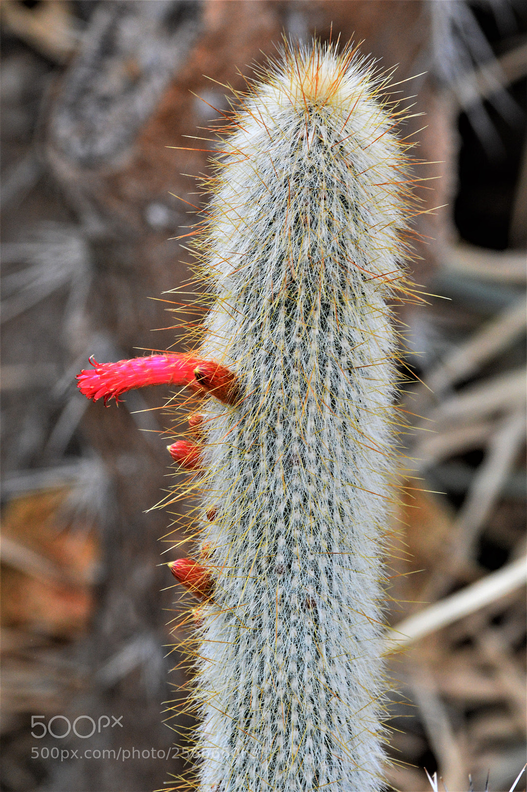 Nikon D3200 sample photo. Untitled photography