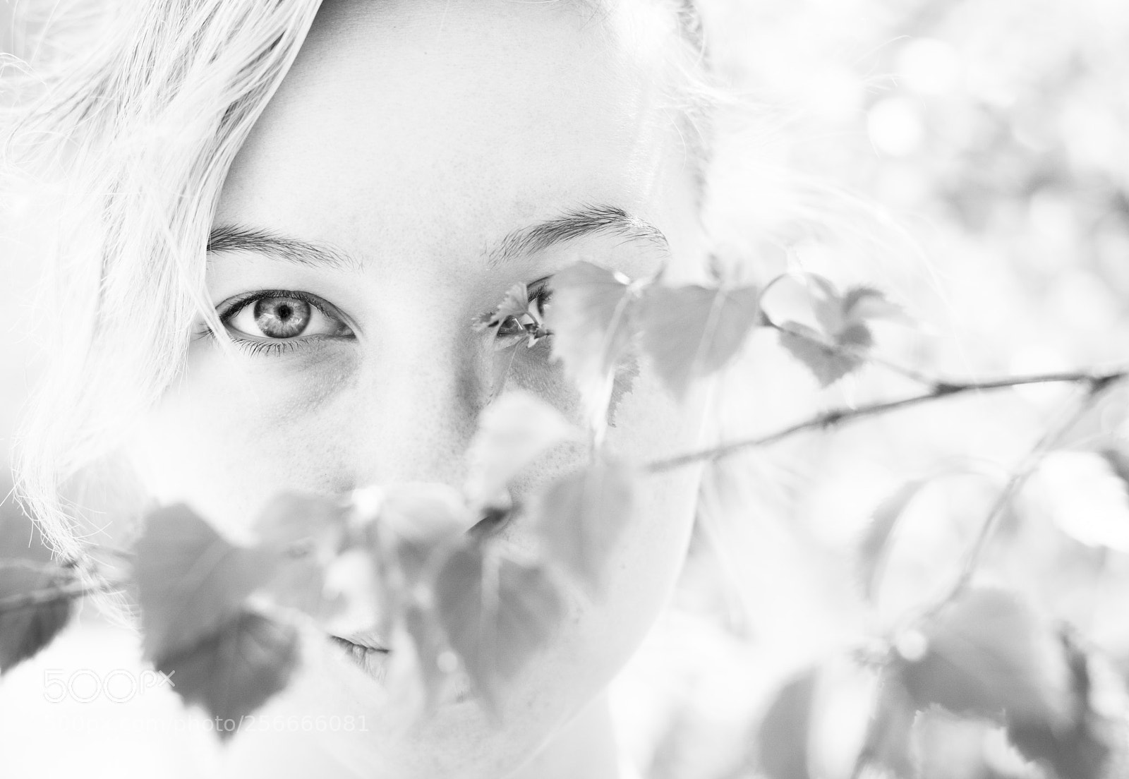 Nikon D7100 sample photo. Concentration photography