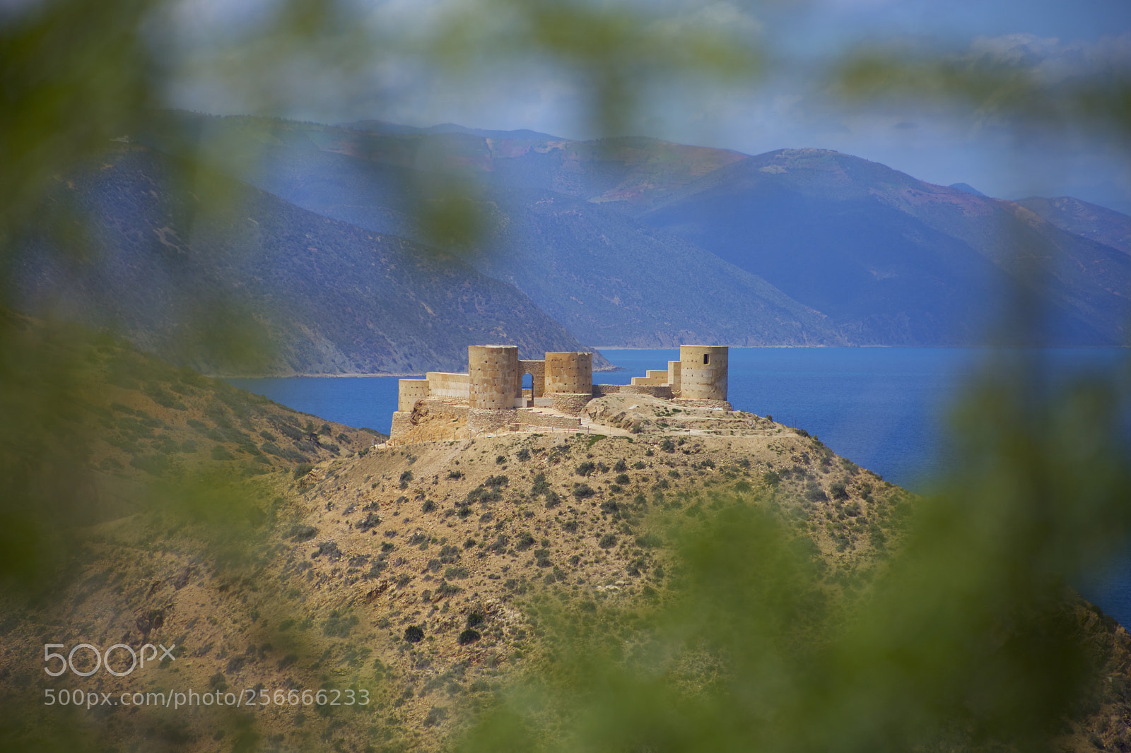 Canon EOS 6D sample photo. Castle leafs photography