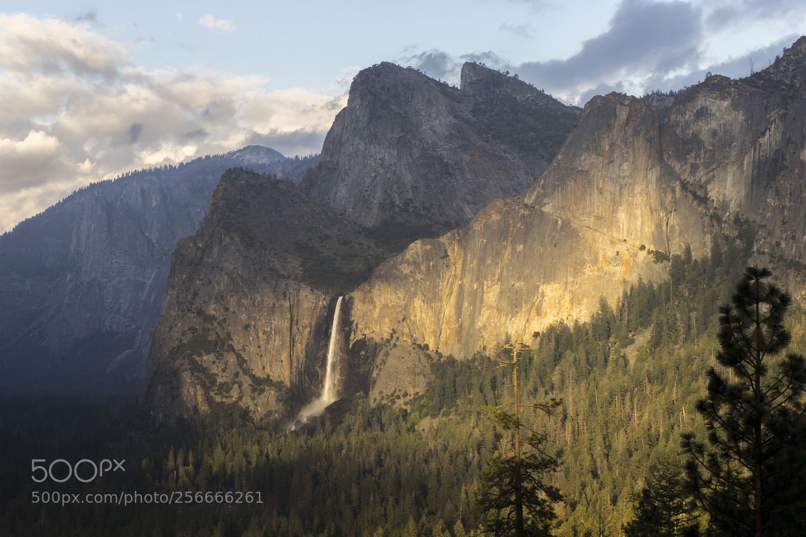 Sony a7 sample photo. Bridalveil bathed photography