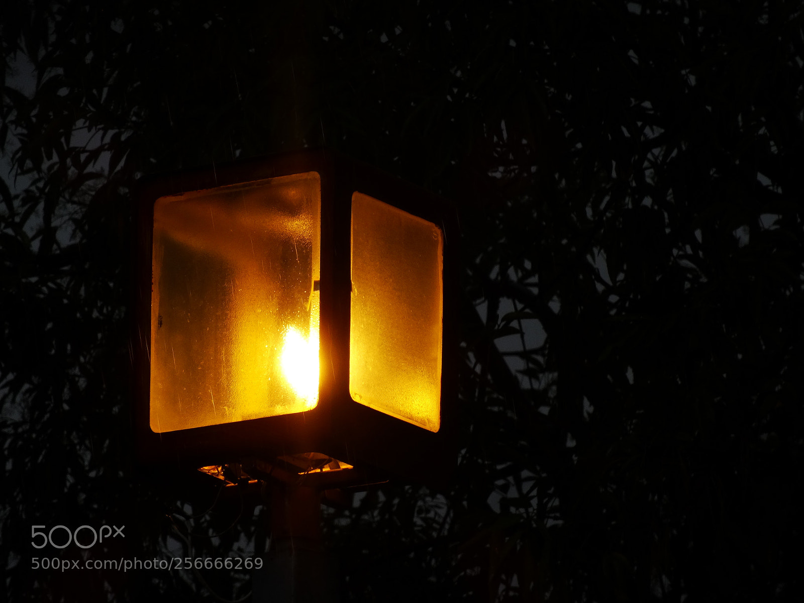 Sony Cyber-shot DSC-HX20V sample photo. Luz en la oscuridad photography