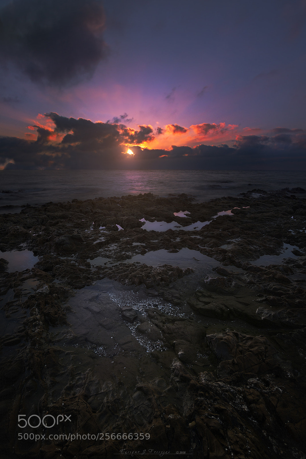 Canon EOS 6D sample photo. Natural lights photography