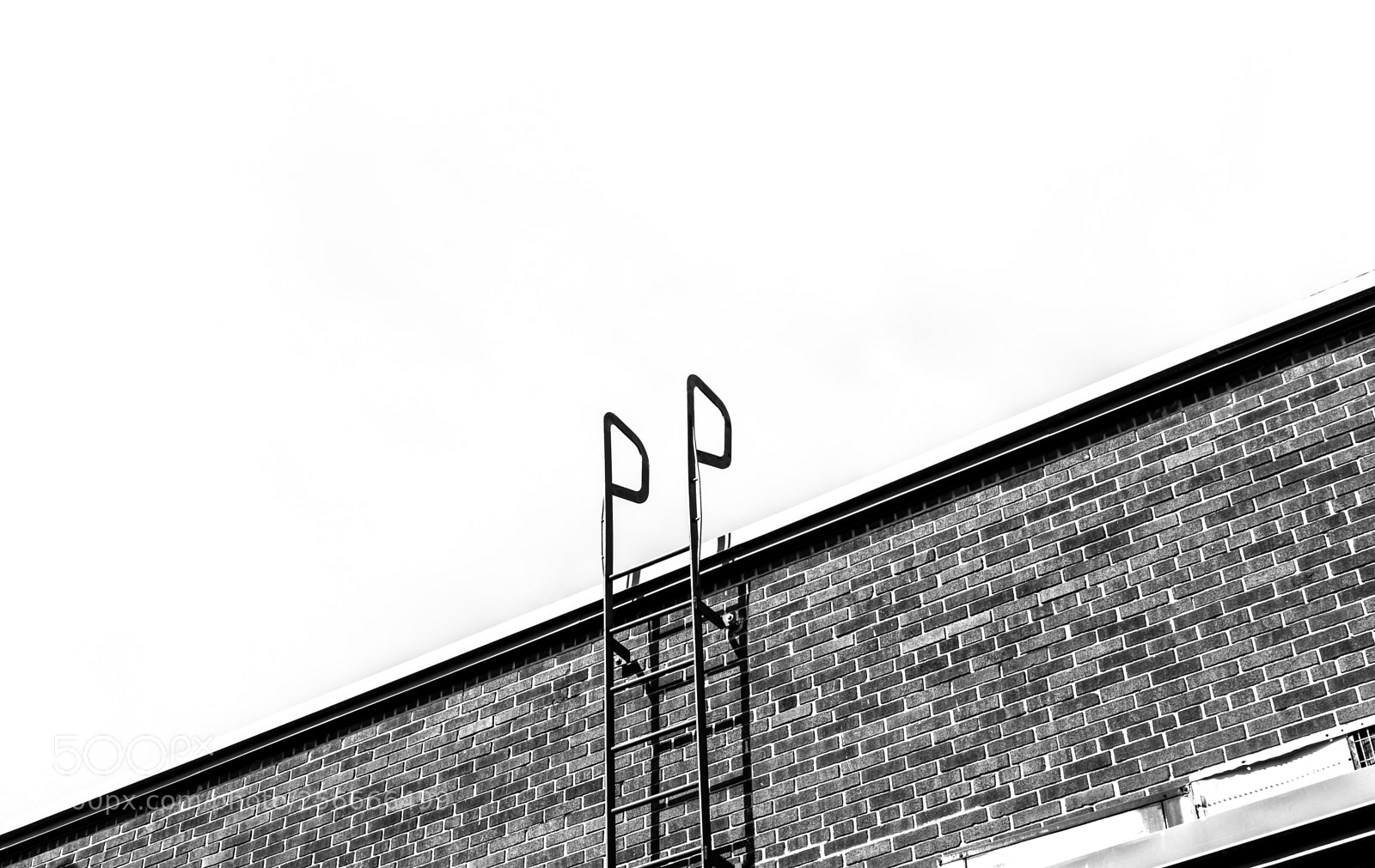Nikon D7500 sample photo. Ladder photography
