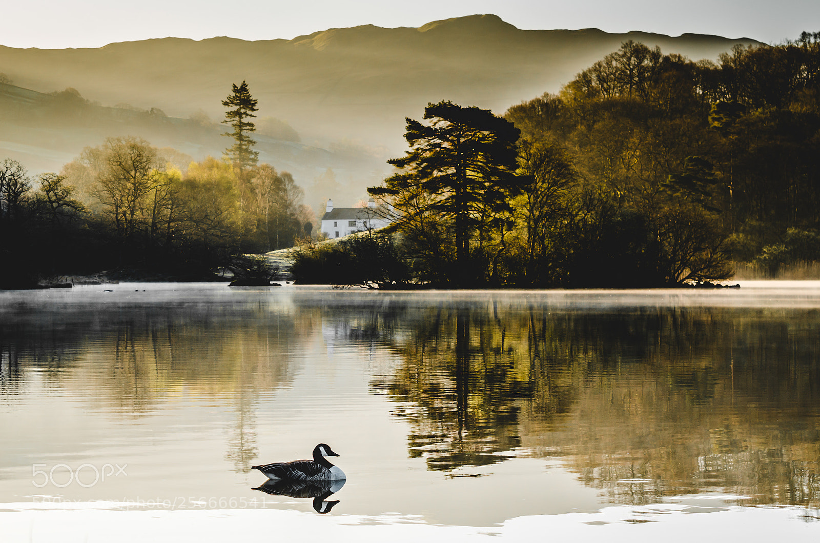 Nikon D7000 sample photo. Rydal lake photography