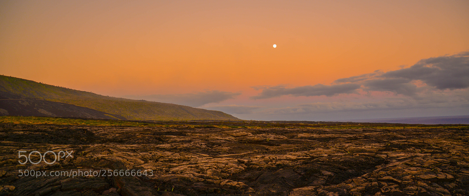 Nikon D610 sample photo. Lava-scape photography