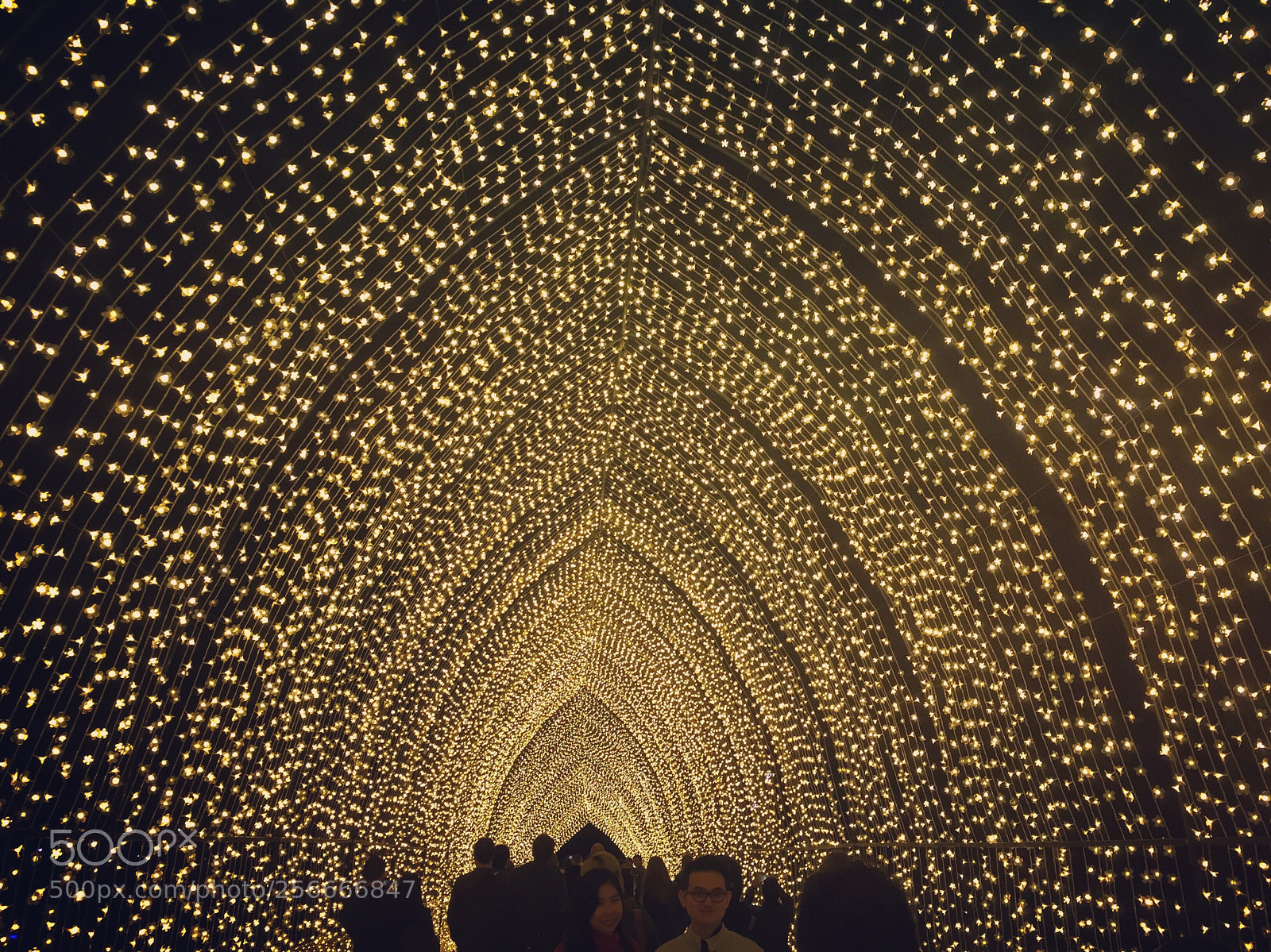 Apple iPhone 6 sample photo. Vivid sydney festival  photography