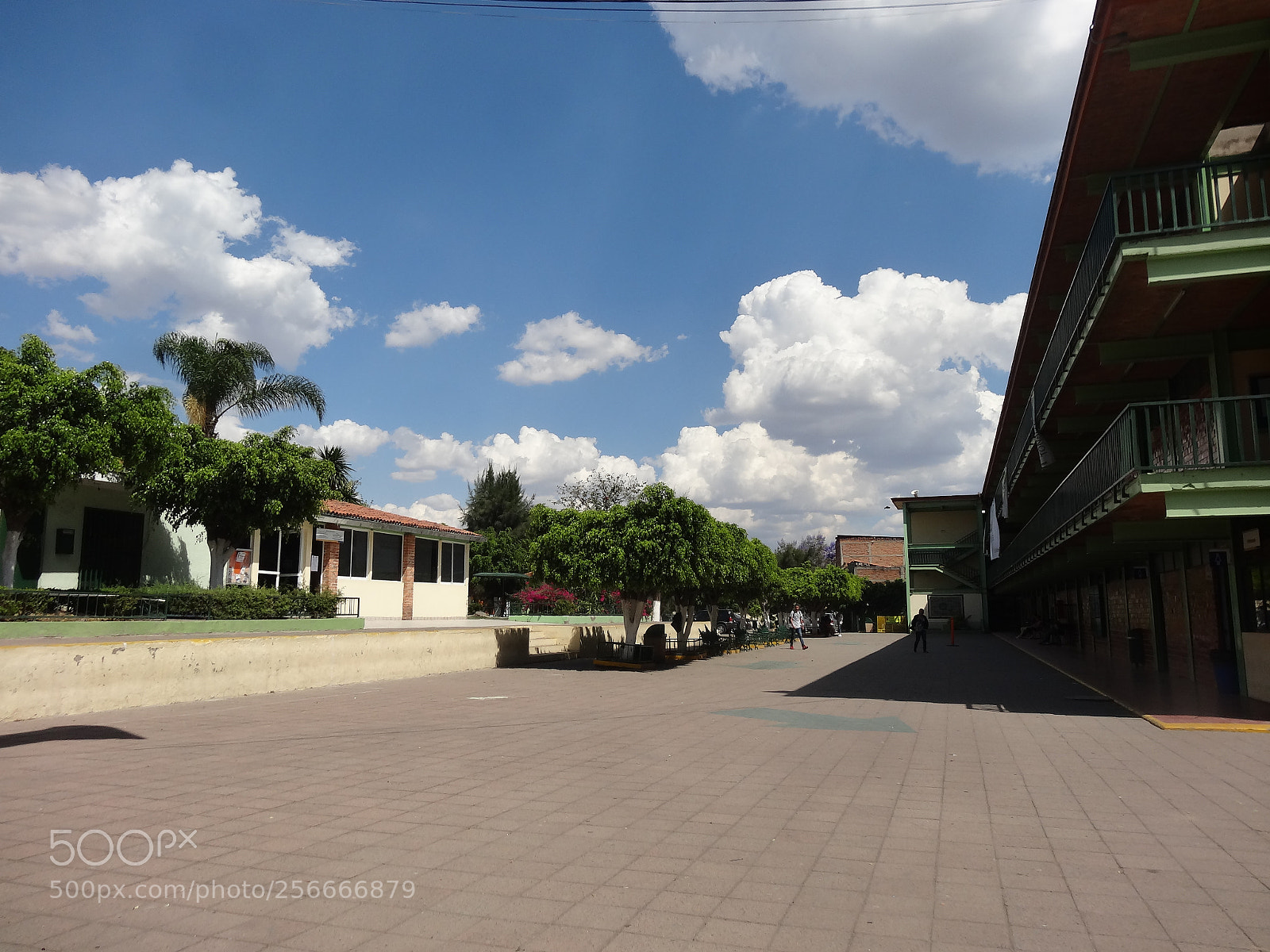 Sony Cyber-shot DSC-HX20V sample photo. Escuela photography