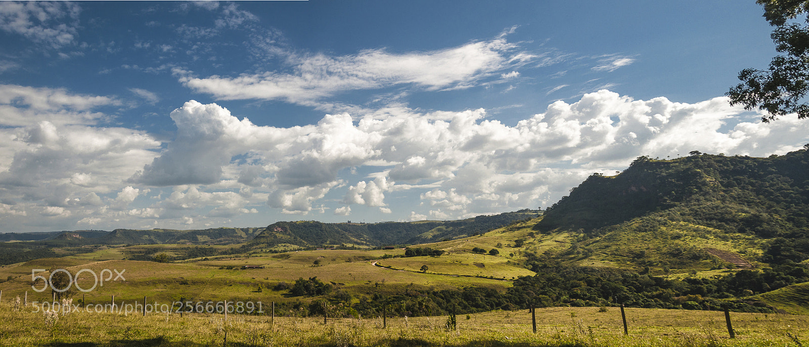Nikon D90 sample photo. Rural scene of brazil. photography