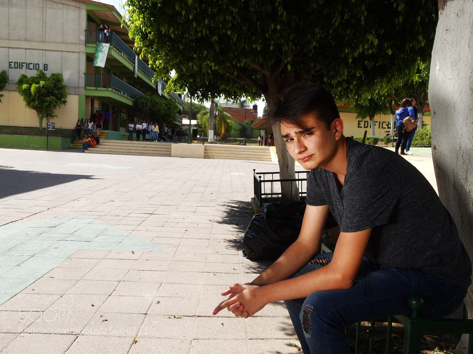 Sony Cyber-shot DSC-HX20V sample photo. Bertrand photography