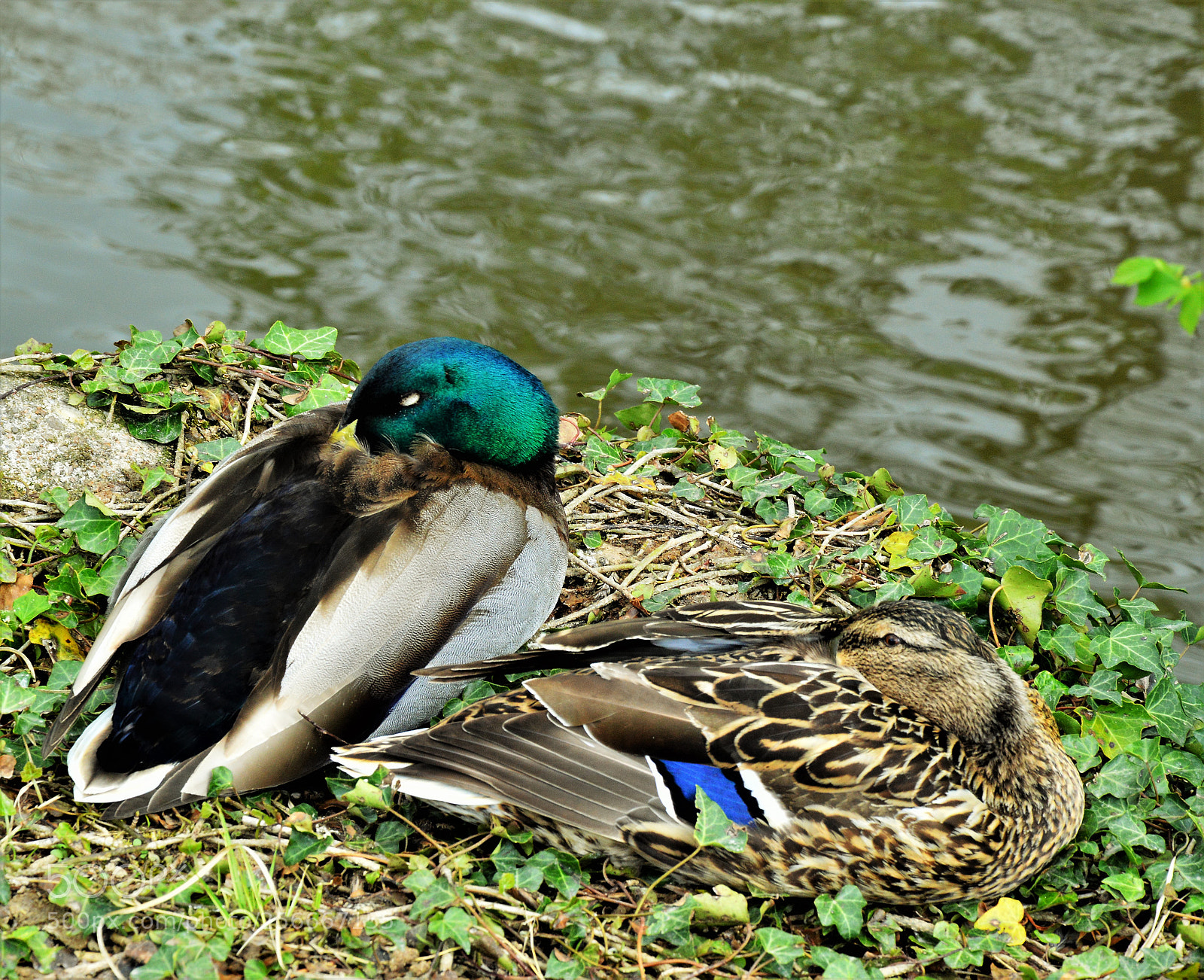 Nikon D3200 sample photo. Untitled photography