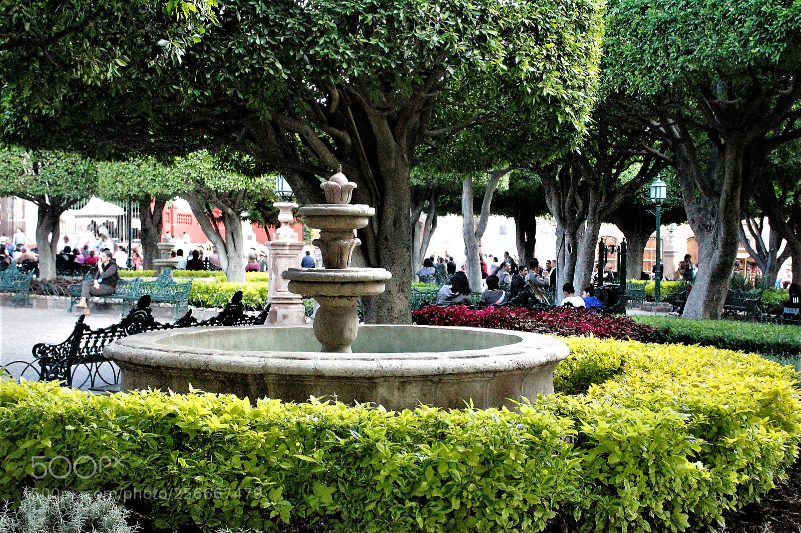 Canon EOS 1300D (EOS Rebel T6 / EOS Kiss X80) sample photo. Fountain surrounded by green photography