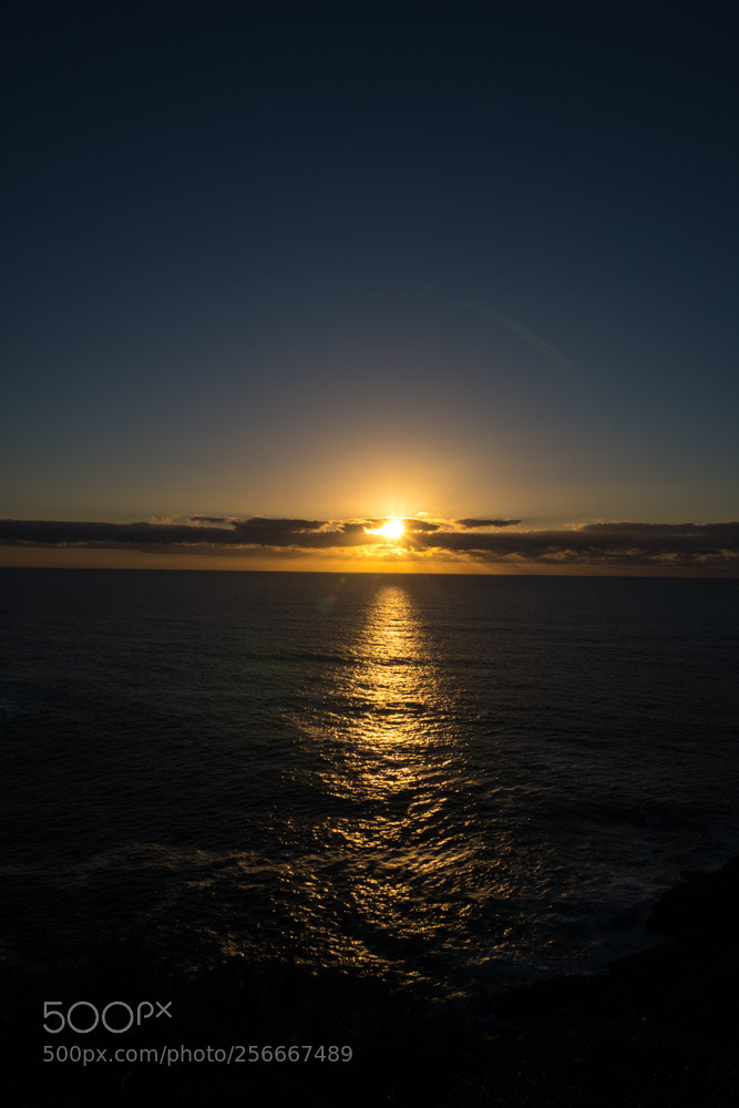 Sony a6300 sample photo. Dsc photography