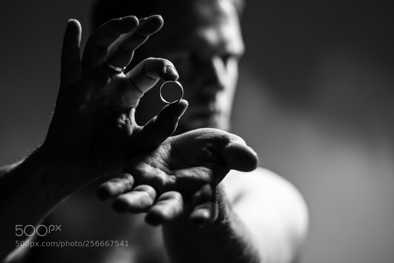 Canon EOS 50D sample photo. Through photography