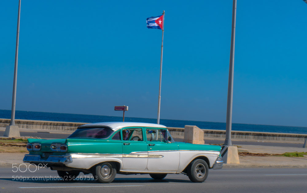 Sony a6300 sample photo. Dsc photography