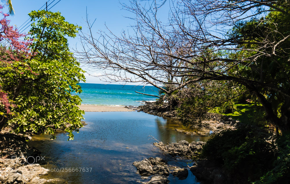 Sony a6300 sample photo. Dsc photography
