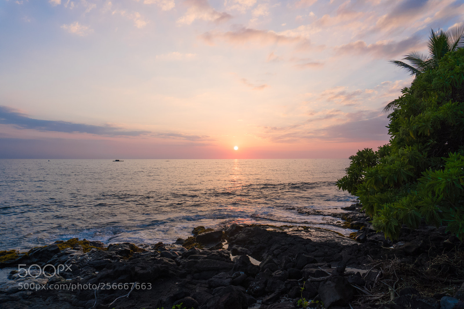 Sony a6300 sample photo. Dsc photography
