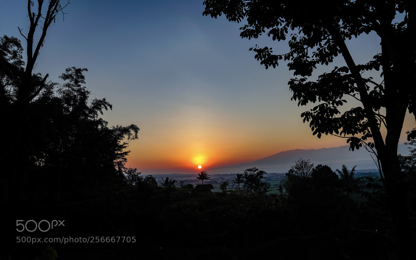 Sony a7R III sample photo. Sunrise at wukir mt photography