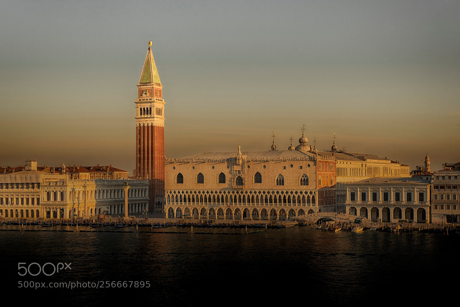 Nikon D750 sample photo. Venedig markusplatz photography