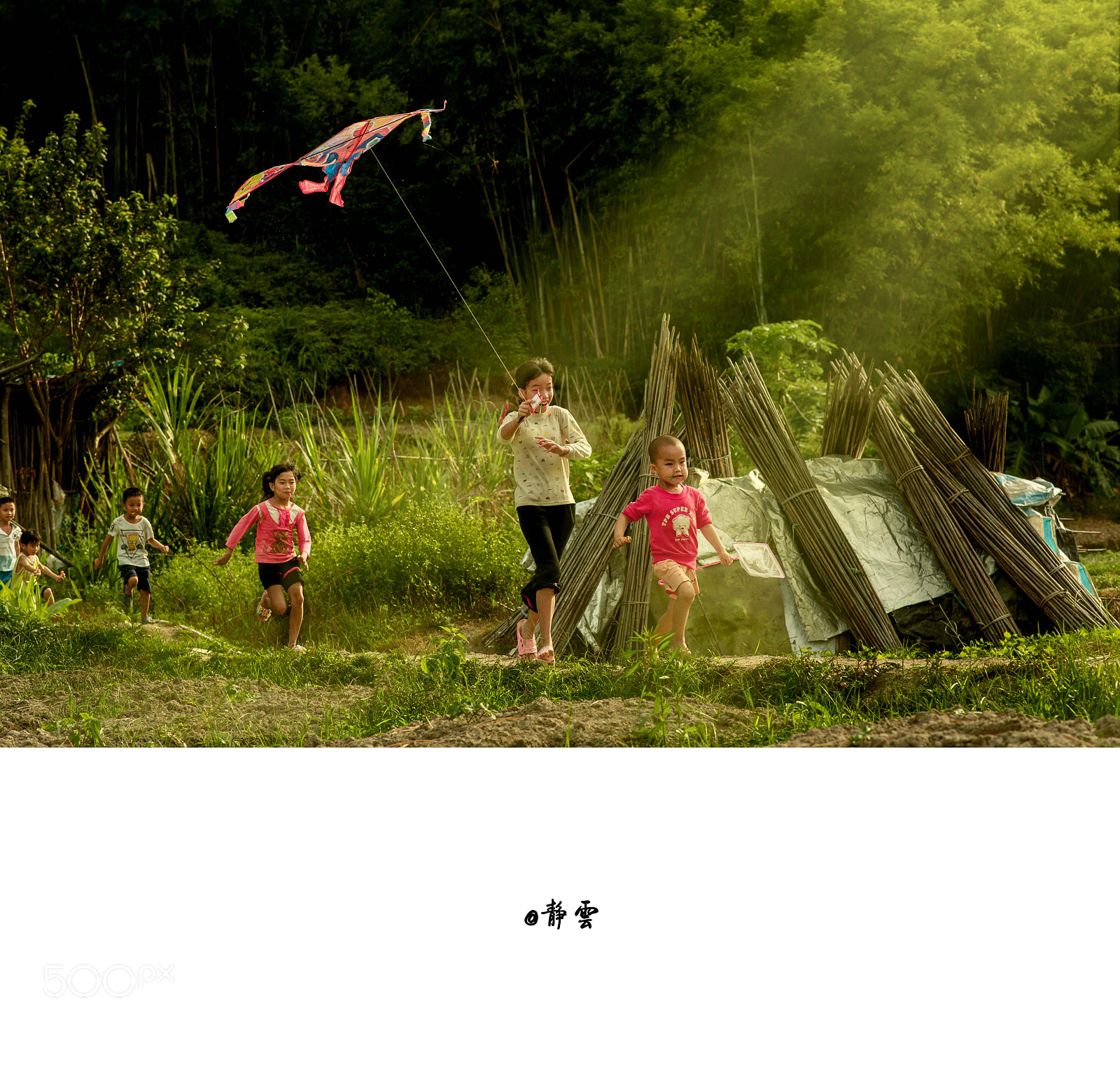 Nikon D810 sample photo. Untitled photography