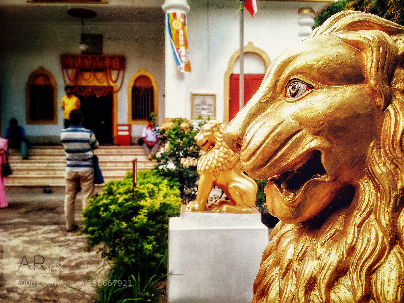 Xiaomi Redmi 4 Pro sample photo. Just & wise photography