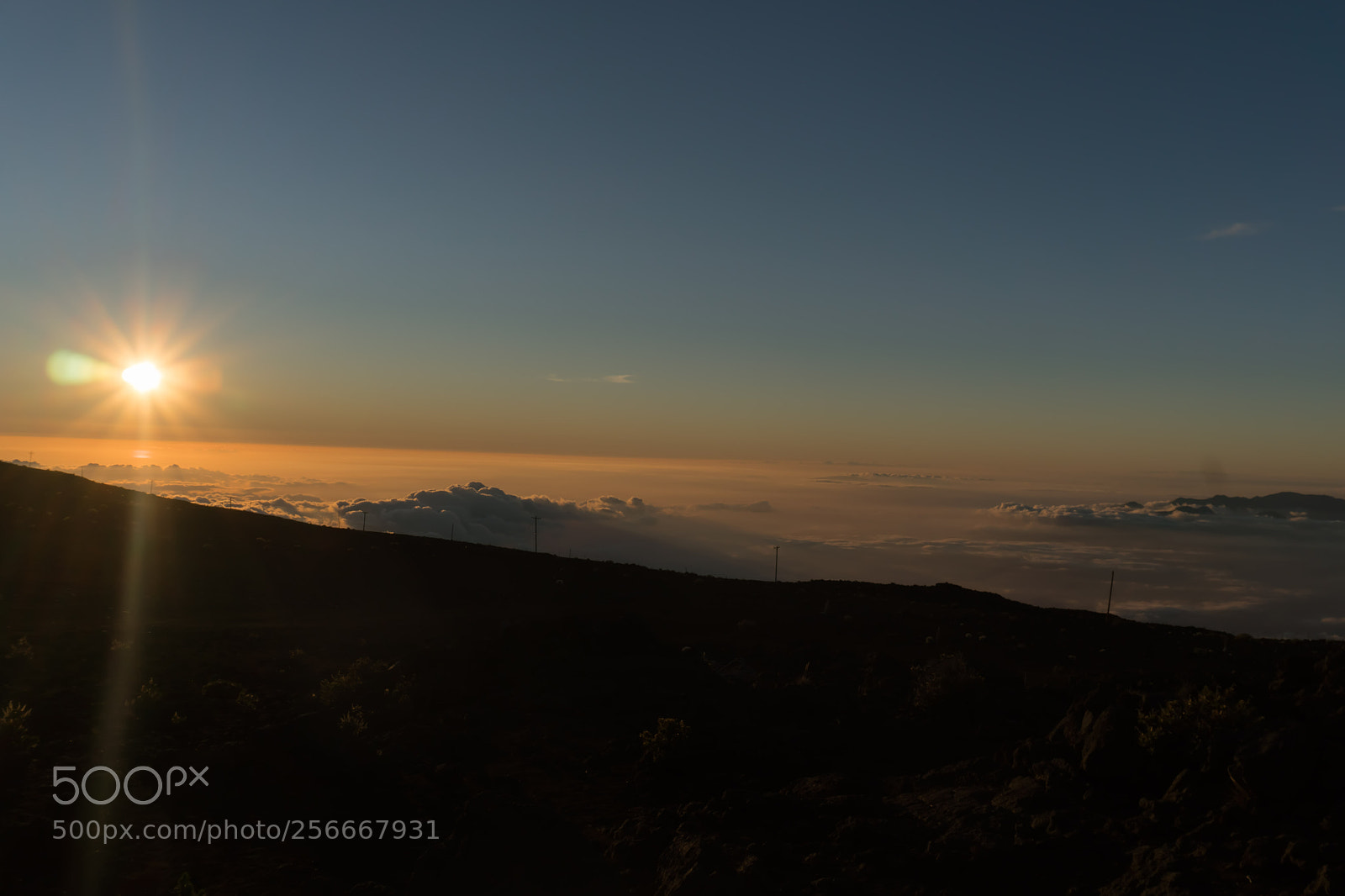 Sony a6300 sample photo. Dsc photography