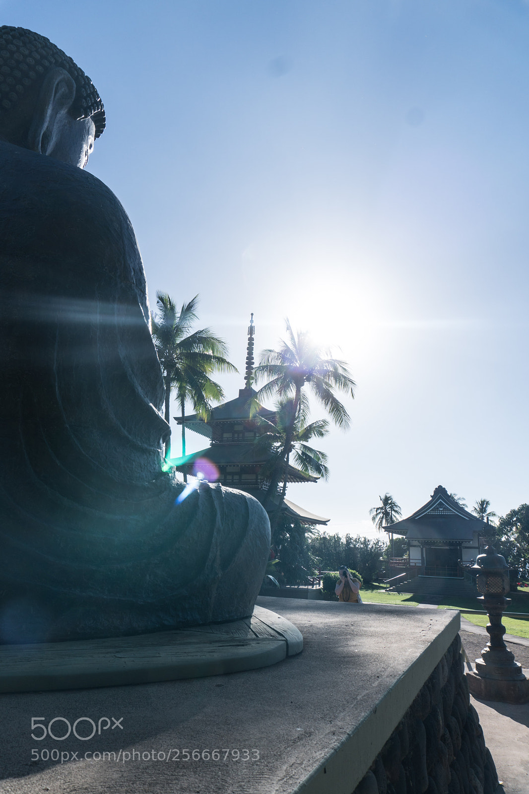 Sony a6300 sample photo. Dsc photography