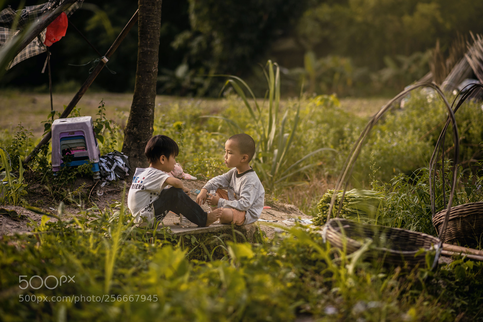 Nikon D810 sample photo. Untitled photography