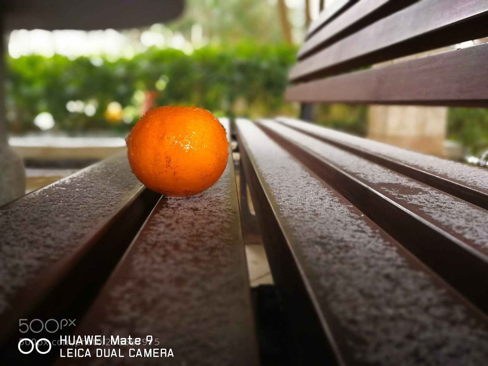 HUAWEI Mate 9 sample photo. Untitled photography