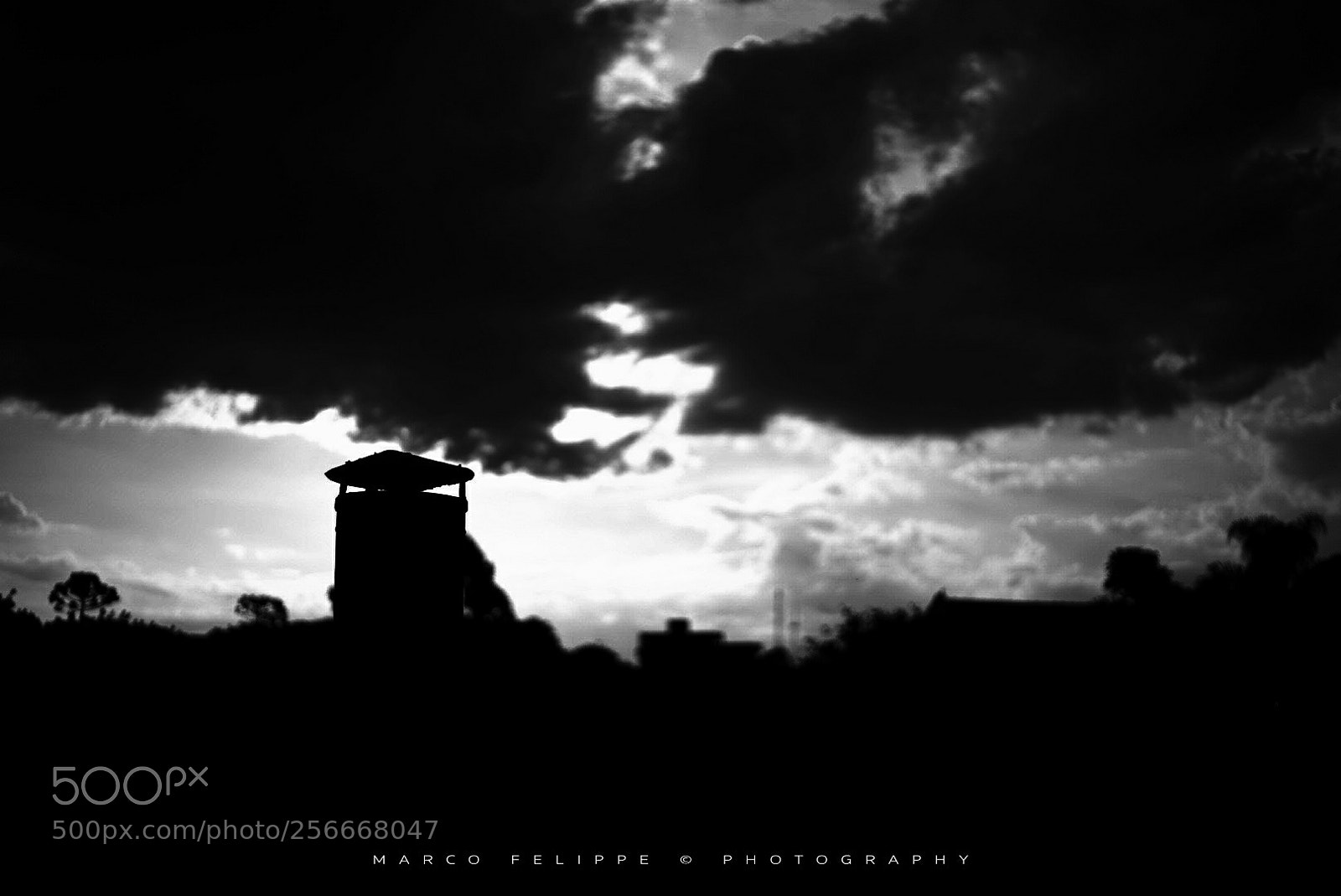 Sony a7S II sample photo. Noir #97 photography