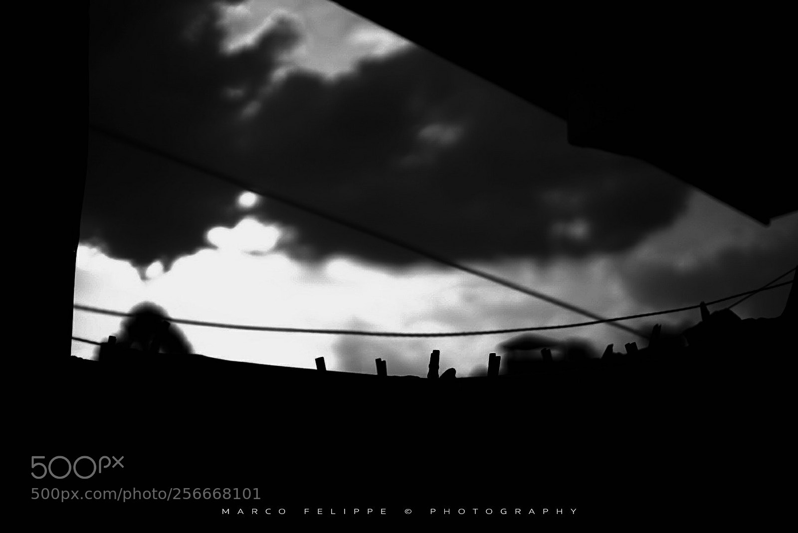 Sony a7S II sample photo. Noir #98 photography