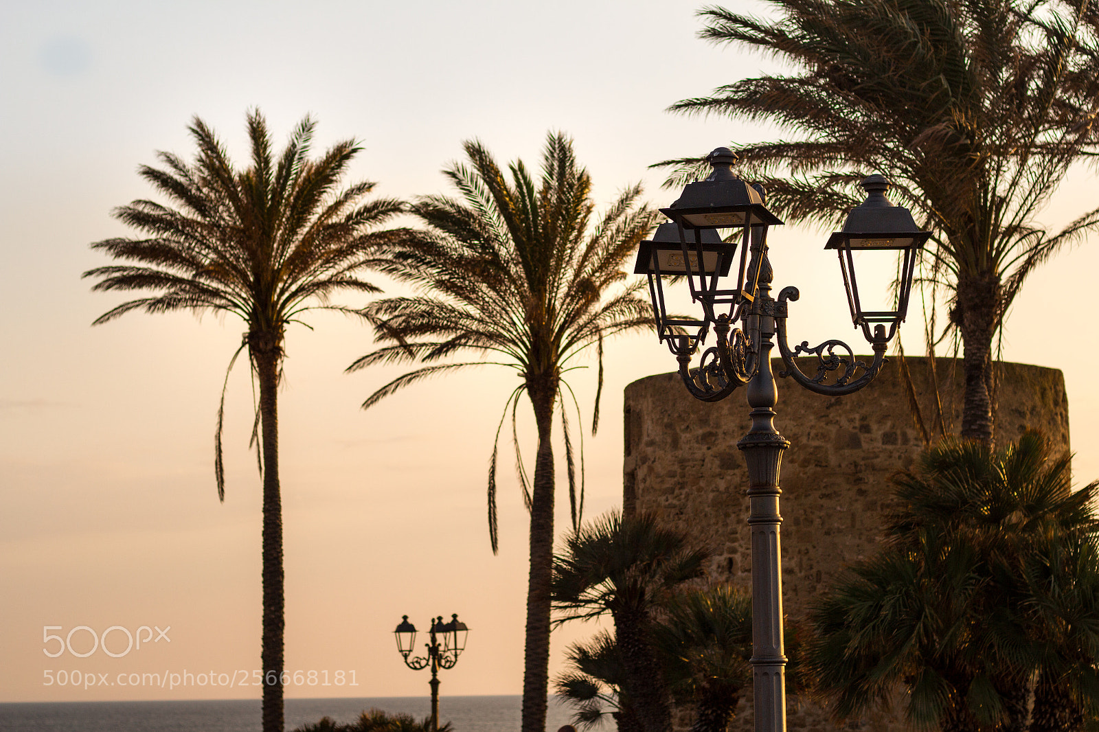 Canon EOS 700D (EOS Rebel T5i / EOS Kiss X7i) sample photo. Sunset, tower, palms. an photography