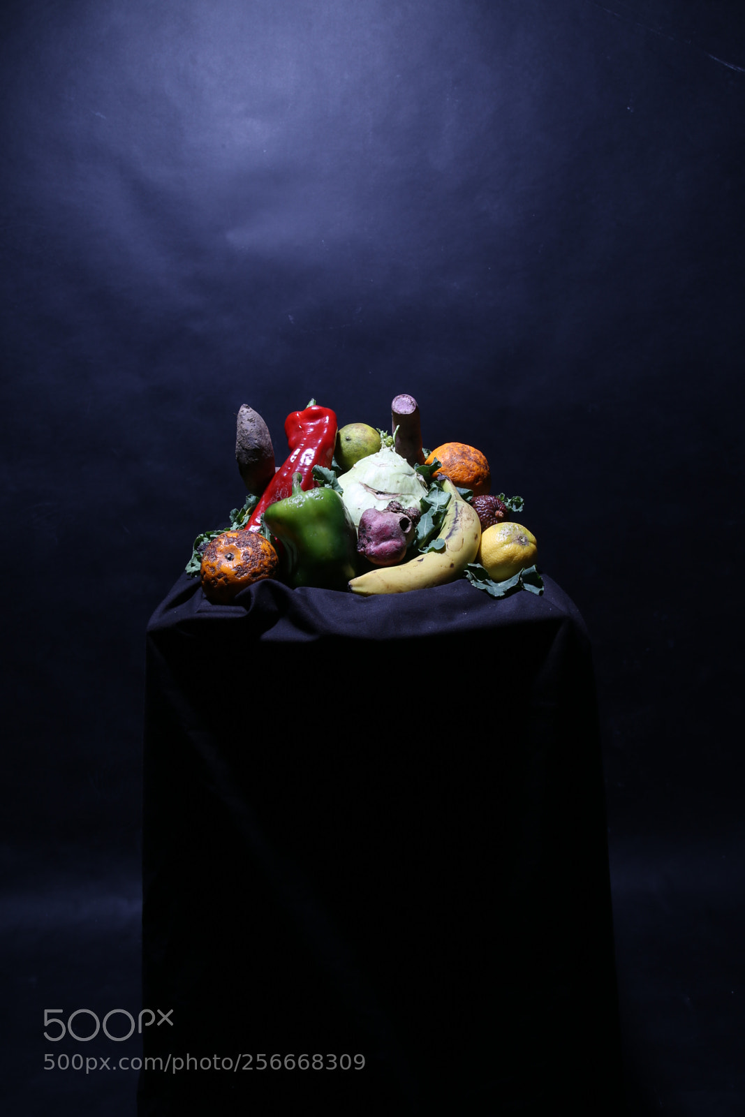 Canon EOS 6D + Canon EF 24-105mm F4L IS USM sample photo. Img photography
