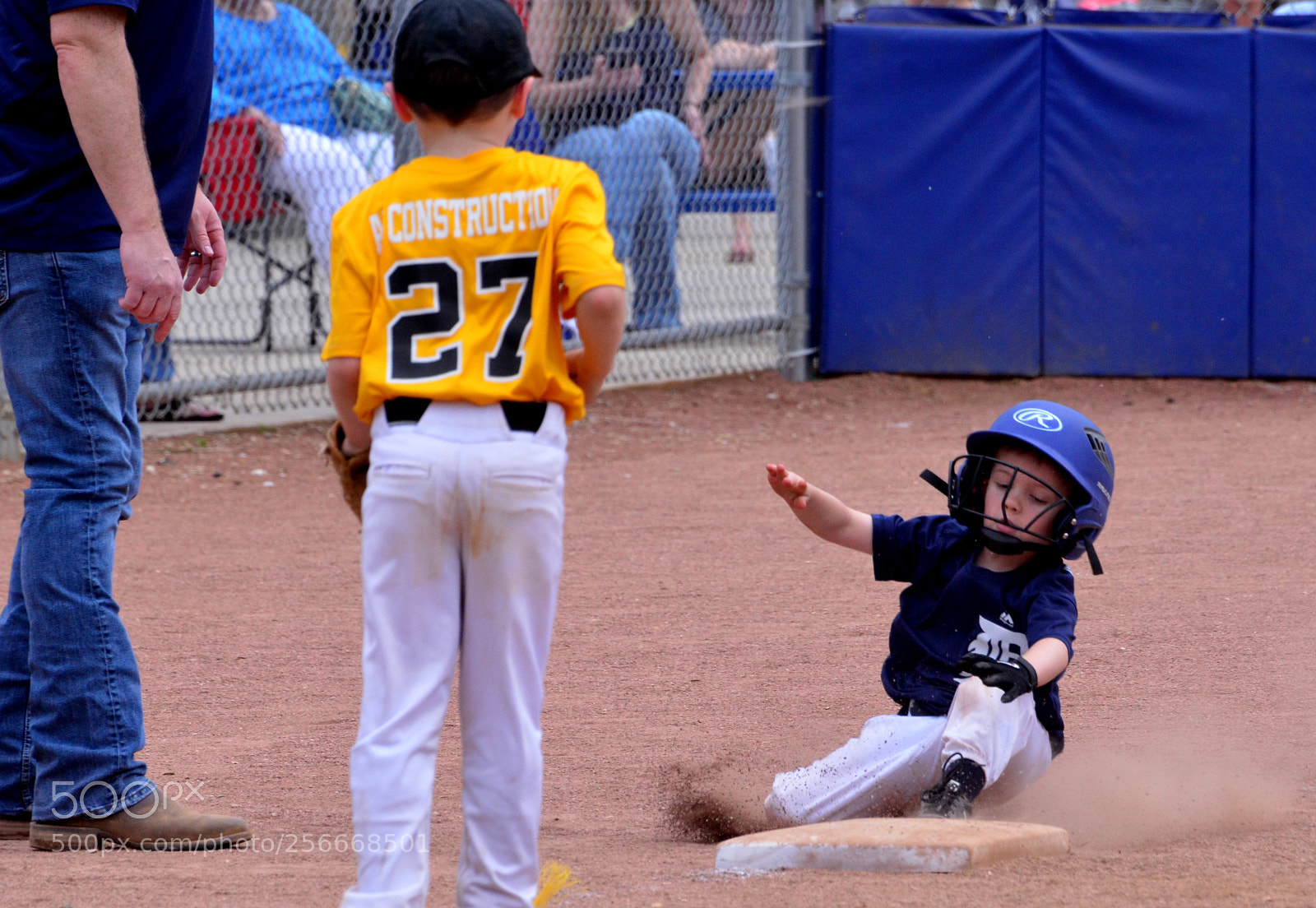 Nikon D7000 sample photo. Slide 3 photography