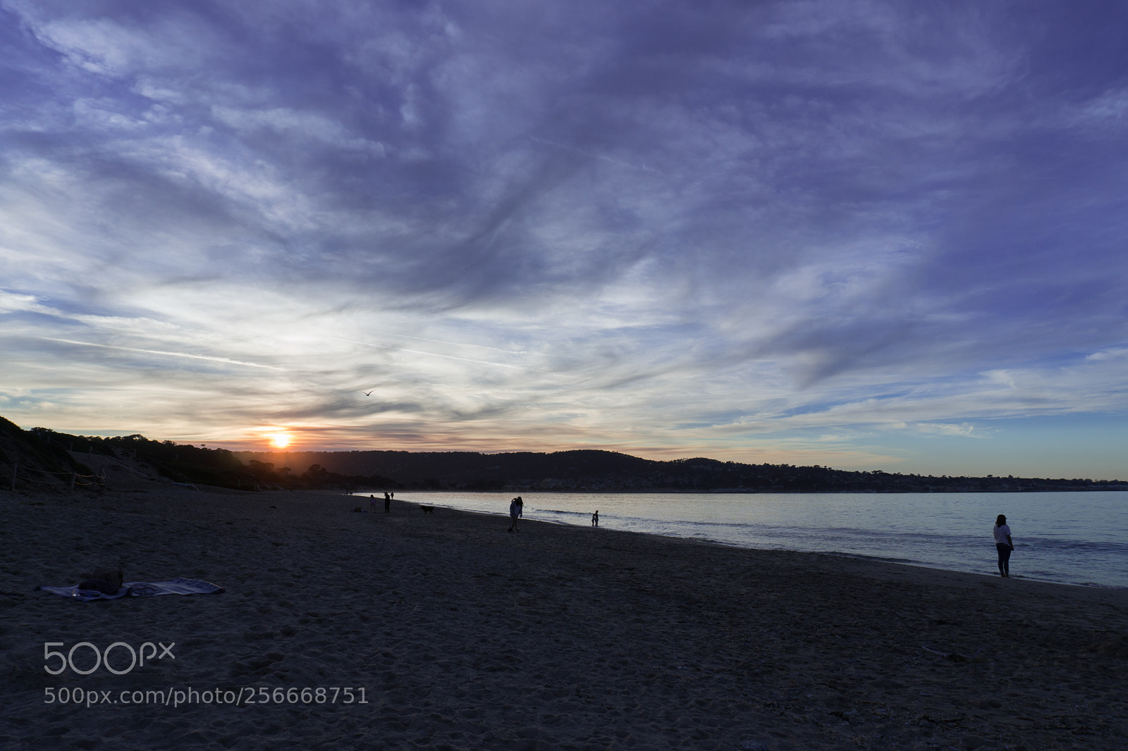 Sony a6300 sample photo. Dsc photography