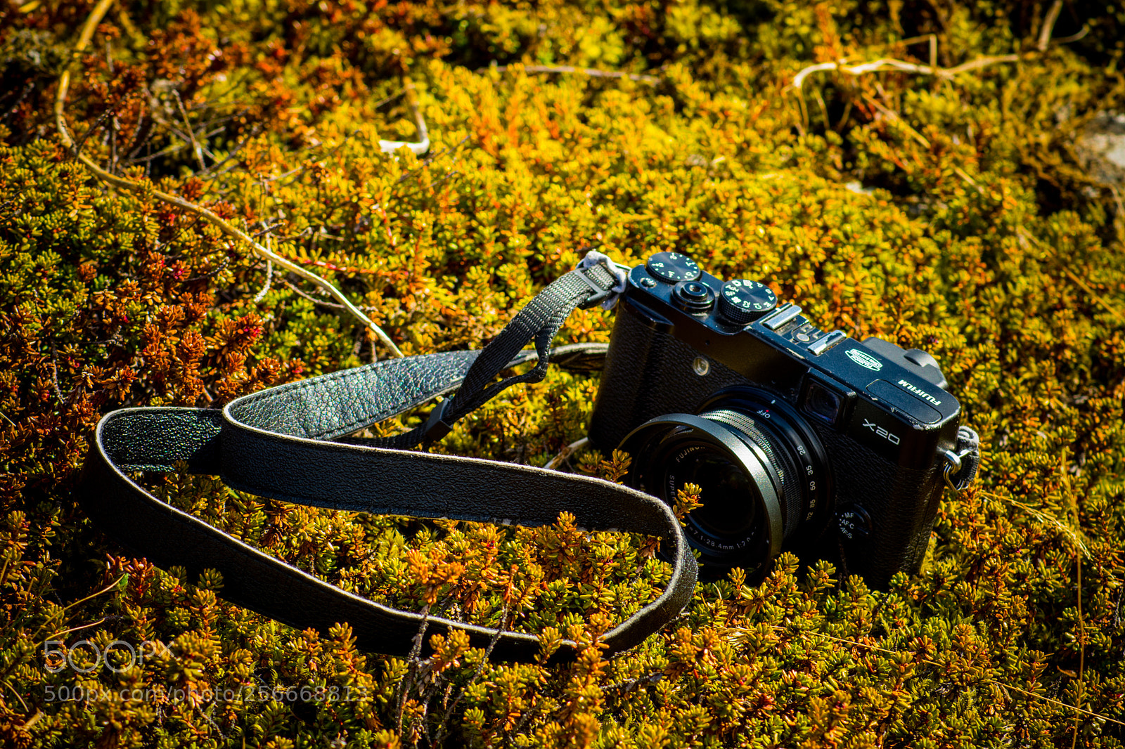 Nikon D7500 sample photo. Fujifilm photography